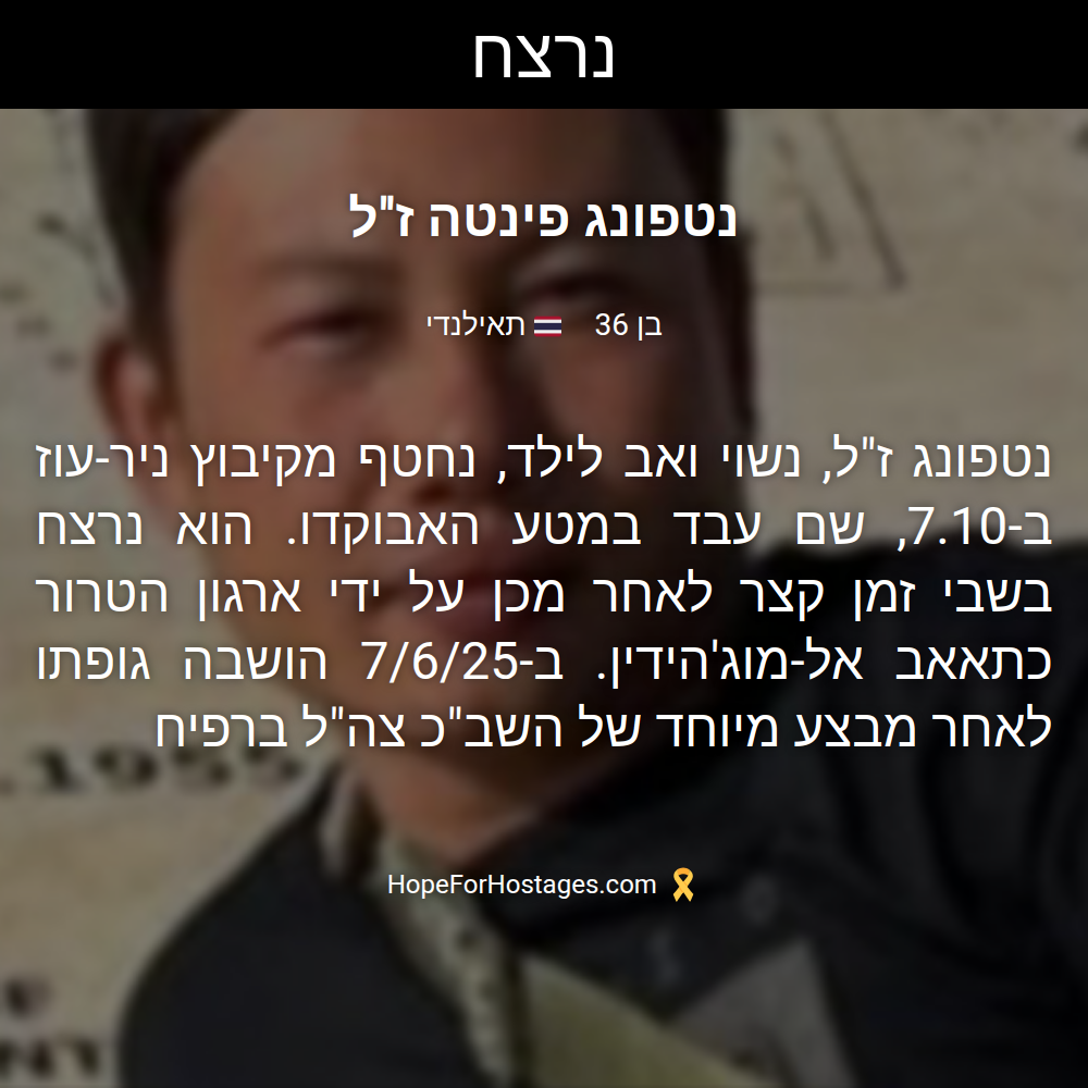 נטפונג פינטה ז